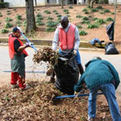Edgewood Clean Up & Beautification Project